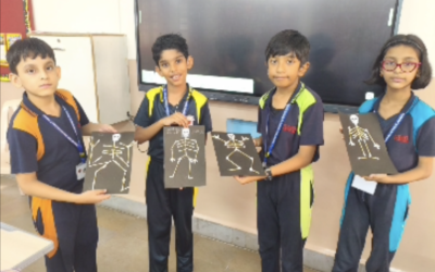 Living Things – Skeleton Making Activity