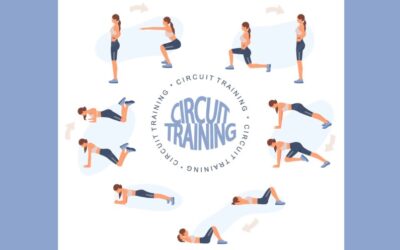 Circuit Training Activity – K1